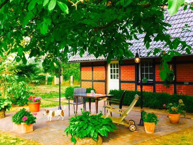 Muensterland Cottage لينغيريش المظهر الخارجي الصورة