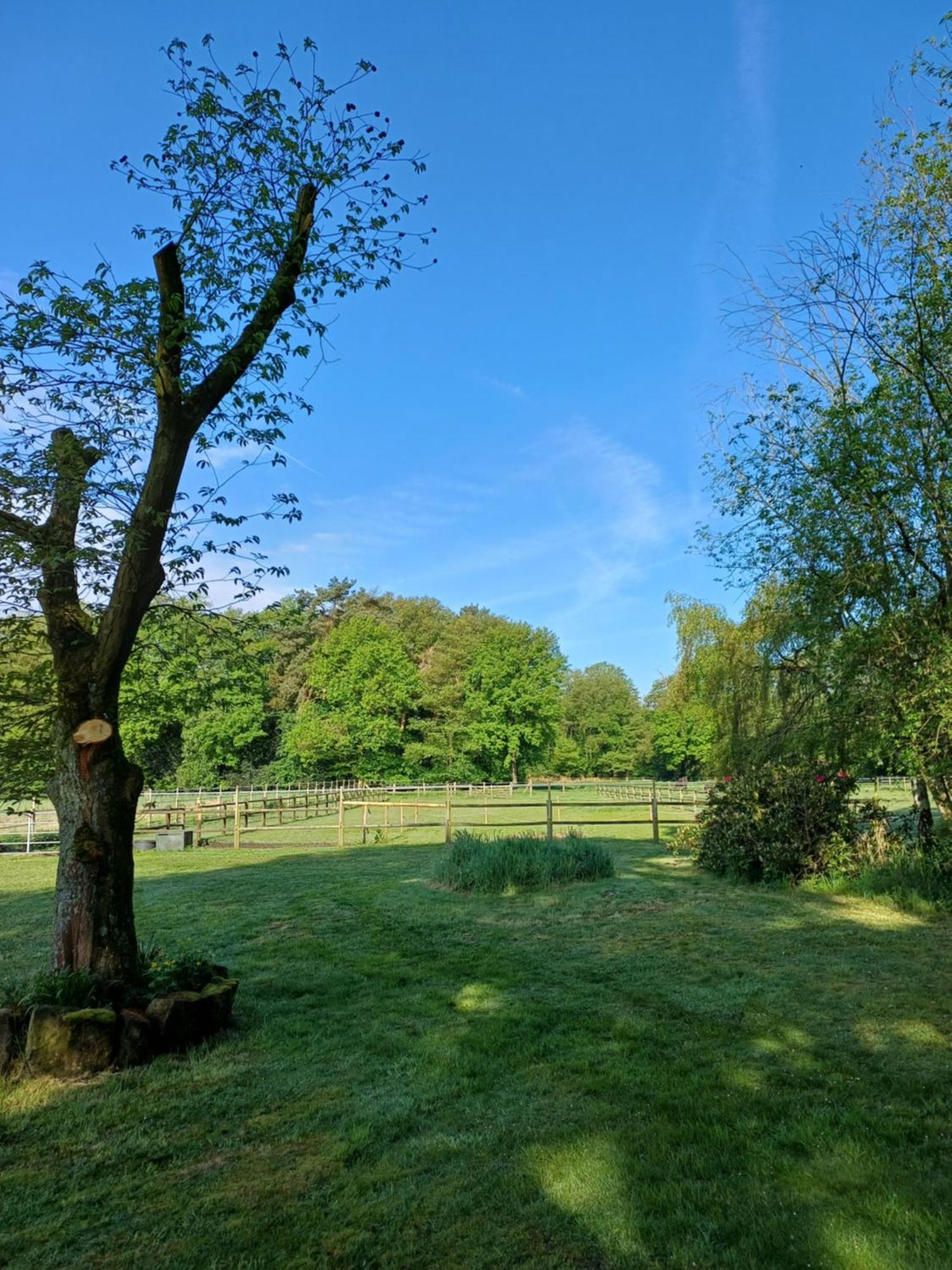 Muensterland Cottage لينغيريش المظهر الخارجي الصورة